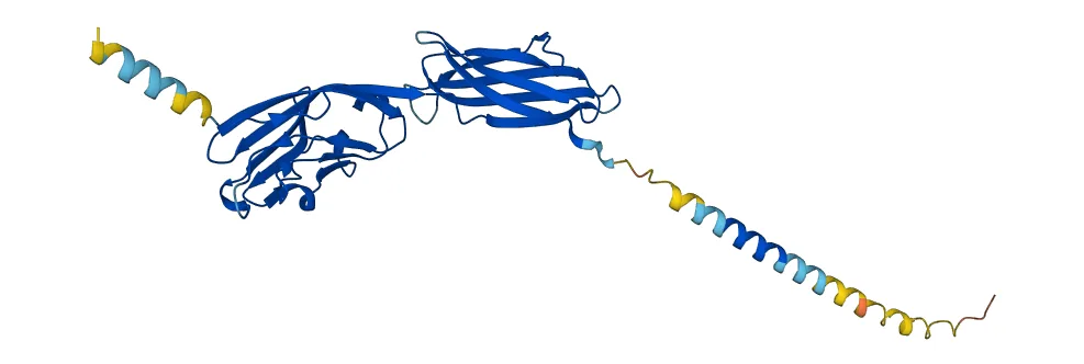 AlphaFold, developed by DeepMind, dramatically accelerated the prediction of complex protein structu
