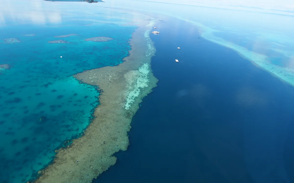 The Great Barrier Reef, stretching over 2,300 kilometers, is the world's largest coral reef system, 