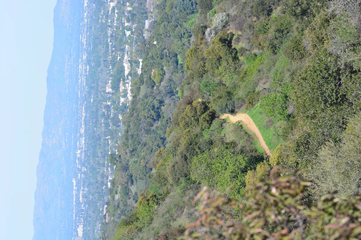 Laurel Canyon, ubicado en las colinas de Hollywood de Los Ángeles, California, se convirtió en un centro legendario para